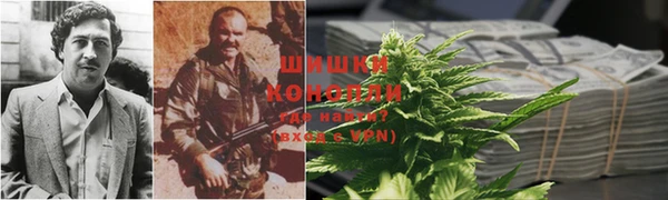 ПСИЛОЦИБИНОВЫЕ ГРИБЫ Верхний Тагил