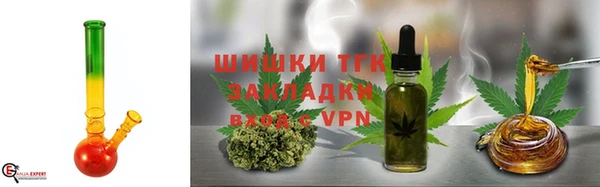 ПСИЛОЦИБИНОВЫЕ ГРИБЫ Верхний Тагил