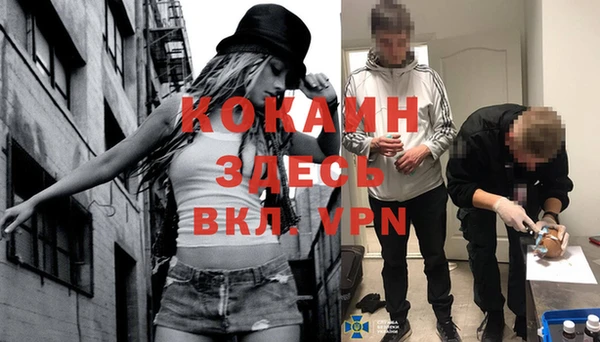 ПСИЛОЦИБИНОВЫЕ ГРИБЫ Верхний Тагил