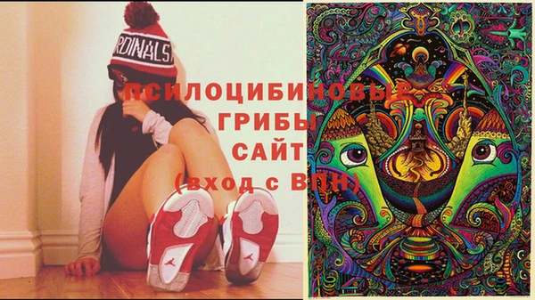индика Верхнеуральск