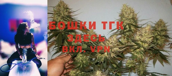 ПСИЛОЦИБИНОВЫЕ ГРИБЫ Верхний Тагил