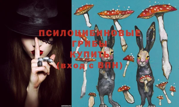 каннабис Верея