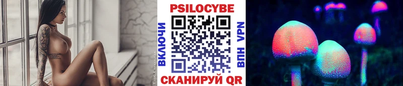 как найти закладки  Касли  Псилоцибиновые грибы Psilocybine cubensis 